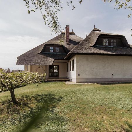 Ferienhaus Schilfvilla Mörbisch am See Exteriör bild